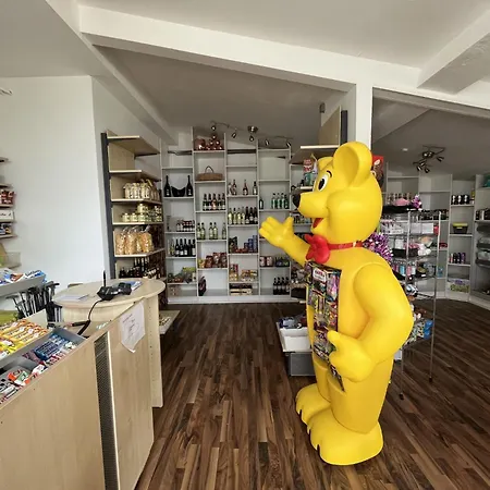 Am Sternberg 230 By Interhome Lejlighed Frankenau