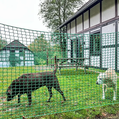 Apartamento Am Sternberg 230 By Interhome Frankenau