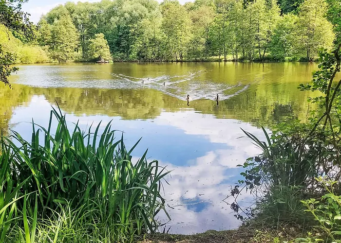 Am Sternberg 230 By Interhome Apartament Frankenau