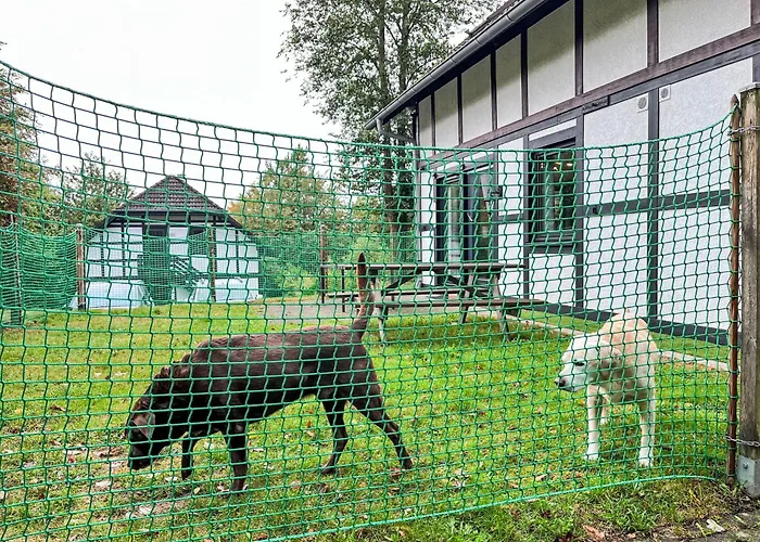 Apartament Am Sternberg 230 By Interhome Frankenau